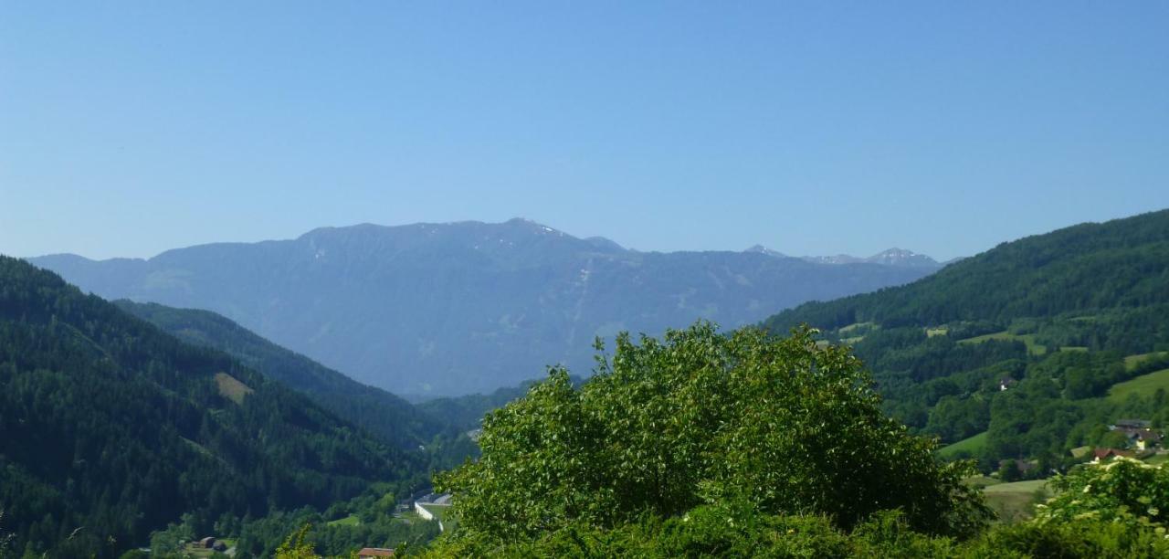 Ferienwohnungen Simonbauer Trebesing 外观 照片